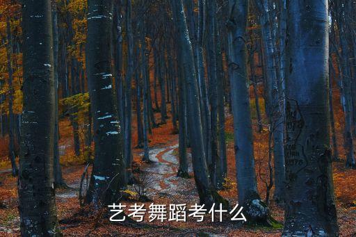 艺考舞蹈考什么