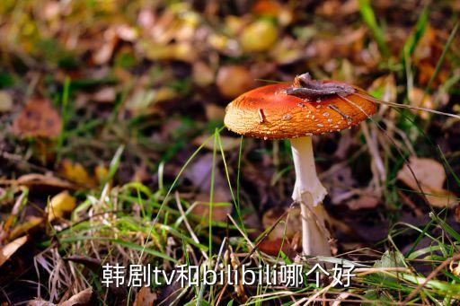 韩剧tv和bilibili哪个好