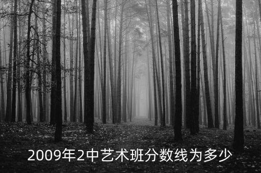 2009年2中艺术班分数线为多少
