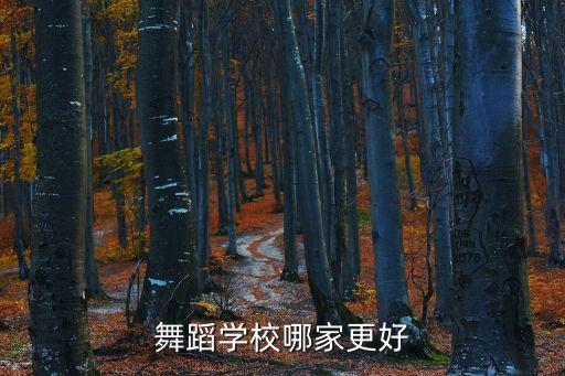 舞蹈学校哪家更好