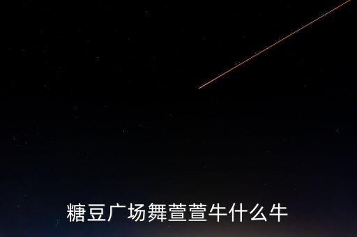 下载一首牛什么牛的广场舞，糖豆广场舞萱萱牛什么牛