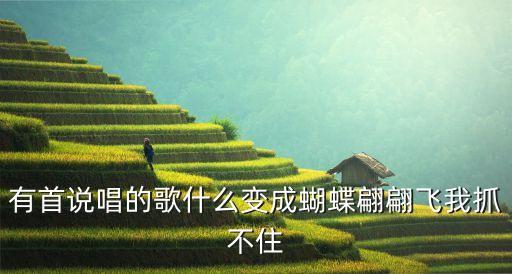 有首说唱的歌什么变成蝴蝶翩翩飞我抓不住