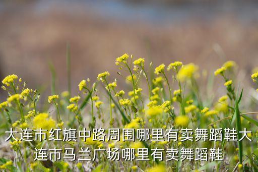 大连市红旗中路周围哪里有卖舞蹈鞋大连市马兰广场哪里有卖舞蹈鞋