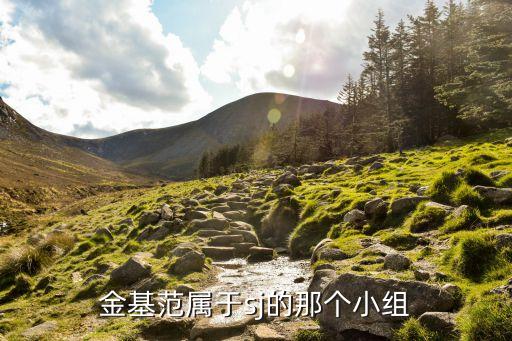 糖豆广场舞算什么范范mp3，金基范属于sj的那个小组