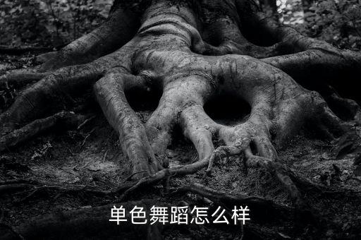 单色舞蹈怎么样