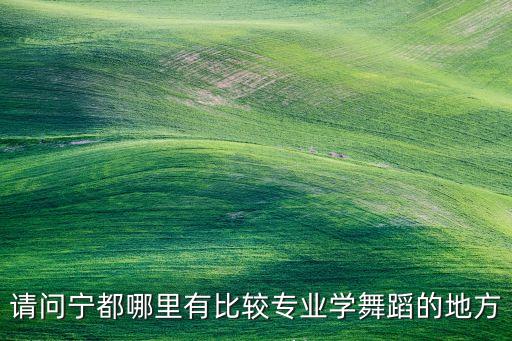 请问宁都哪里有比较专业学舞蹈的地方