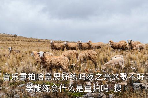 音乐重拍啥意思好练吗夜之光这歌不好学能练会什么是重拍吗  搜