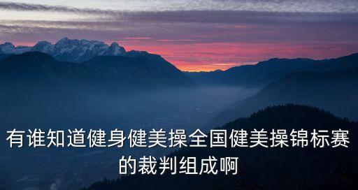有谁知道健身健美操全国健美操锦标赛的裁判组成啊