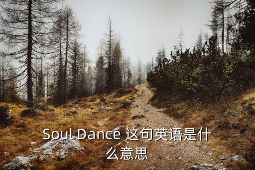 soul dance什么意思，灵魂舞曲英文翻译