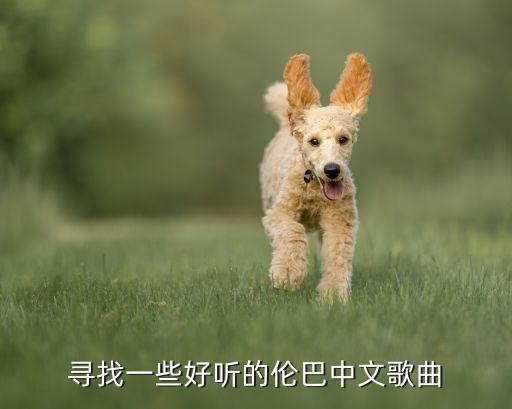 寻找一些好听的伦巴中文歌曲