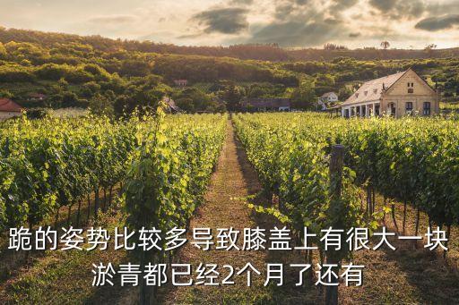 跪的姿势比较多导致膝盖上有很大一块淤青都已经2个月了还有