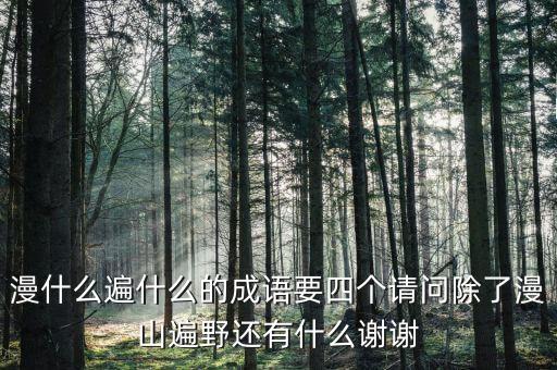 广场舞什么满山，四个字词语漫山什么
