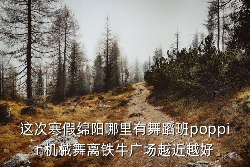 这次寒假绵阳哪里有舞蹈班poppin机械舞离铁牛广场越近越好