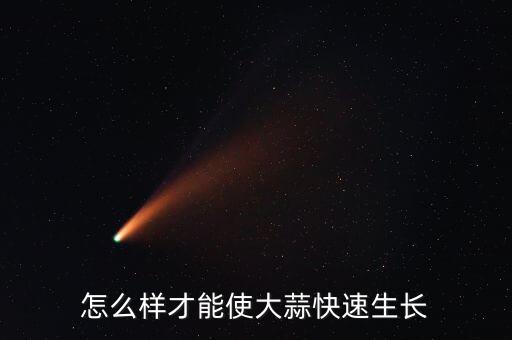 怎么样才能使大蒜快速生长