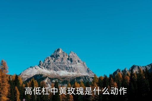 高低杠中黄玫瑰是什么动作