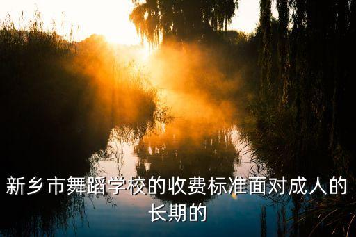 新乡市舞蹈学校的收费标准面对成人的长期的