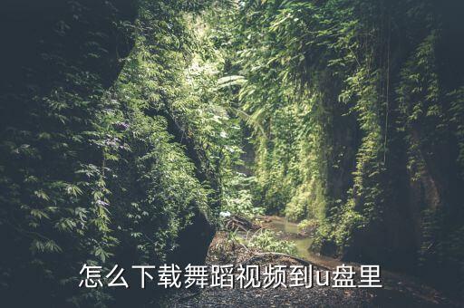 怎么下载舞蹈视频到u盘里