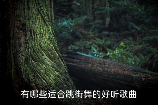 有哪些适合跳街舞的好听歌曲