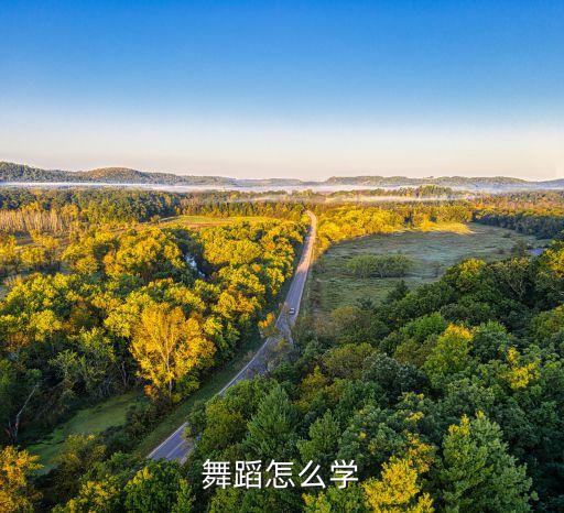 舞蹈怎么学