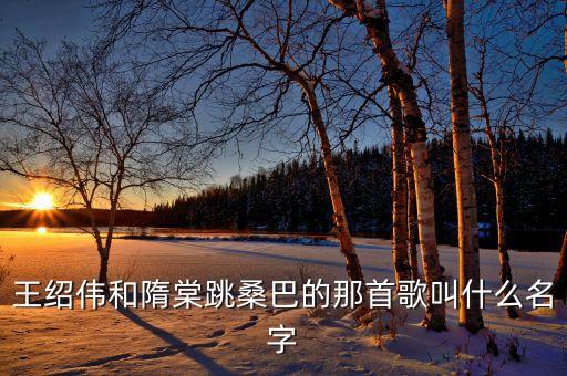 王绍伟和隋棠跳桑巴的那首歌叫什么名字