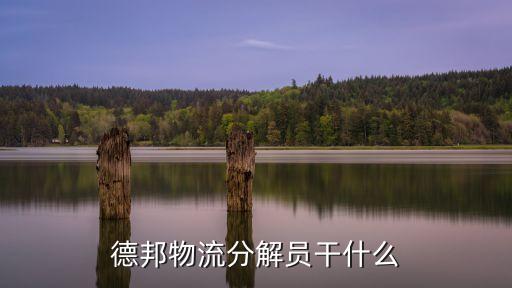 德邦物流分解员干什么