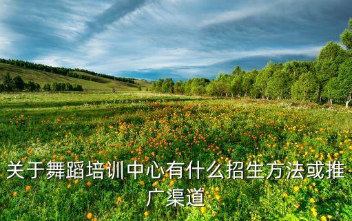 深圳舞蹈培训机构如何招生，关于舞蹈培训中心有什么招生方法或推广渠道
