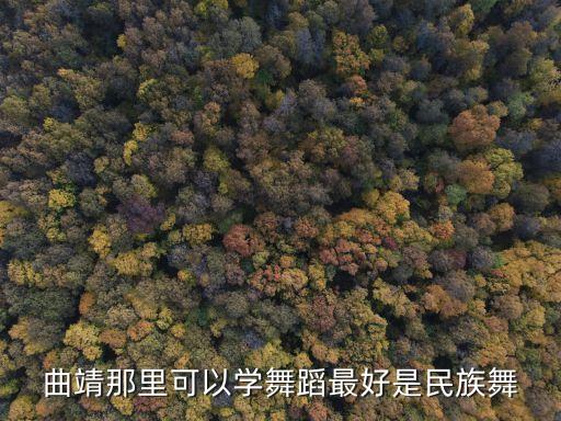 想学民族舞哪里可以，急哪里有学民族舞的