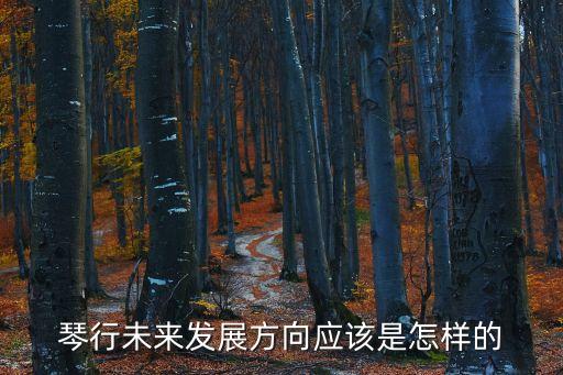 琴行未来发展方向应该是怎样的