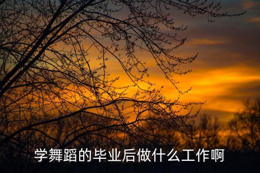 学舞蹈的毕业后做什么工作啊