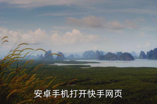 安卓手机打开快手网页