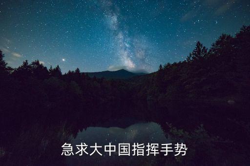 急求大中国指挥手势