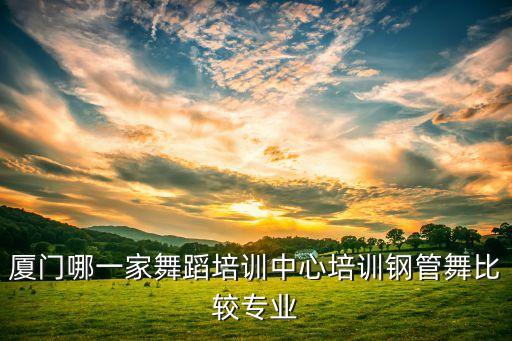 厦门哪一家舞蹈培训中心培训钢管舞比较专业