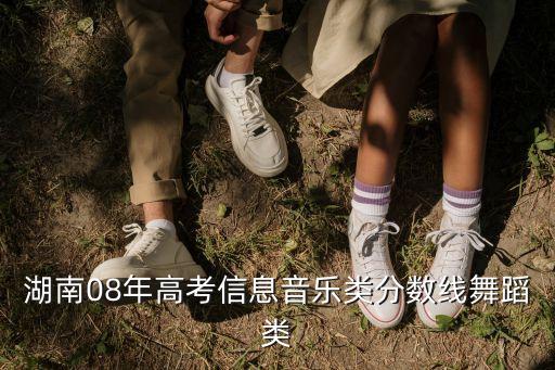 湖南08年高考信息音乐类分数线舞蹈类