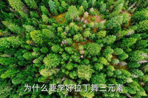 为什么要学好拉丁舞三元素
