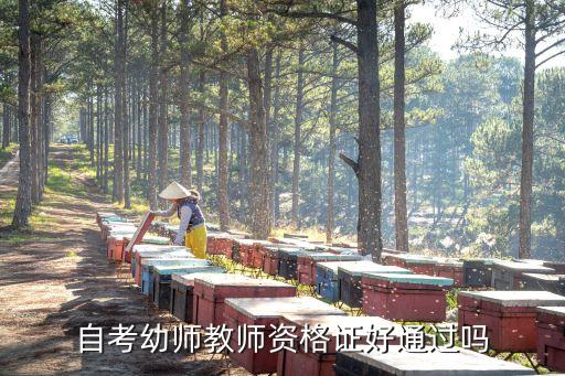 自考幼师教师资格证好通过吗