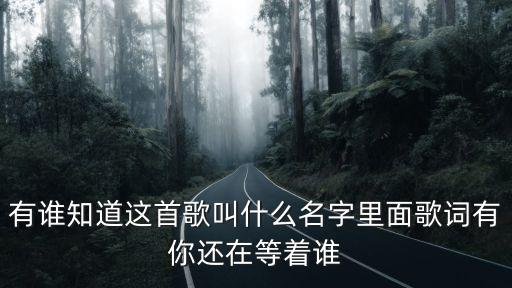 有谁知道这首歌叫什么名字里面歌词有你还在等着谁