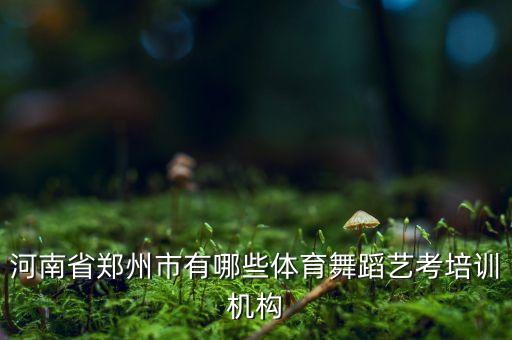 河南省郑州市有哪些体育舞蹈艺考培训机构