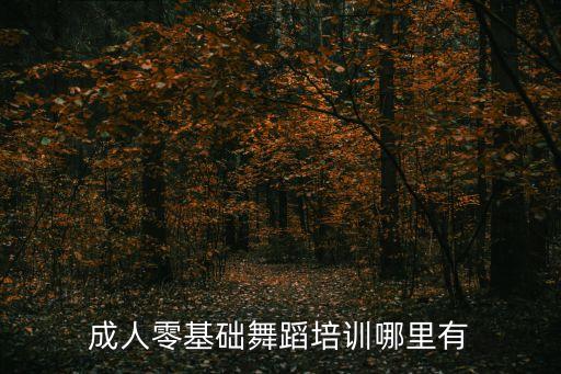 成人零基础舞蹈培训哪里有