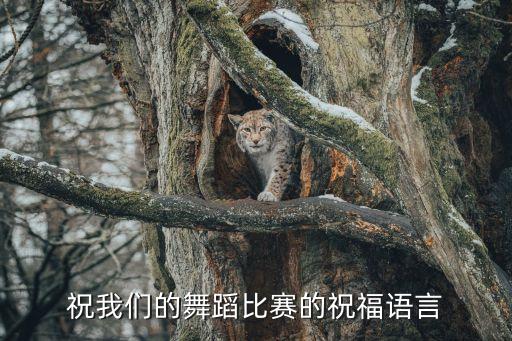 对女儿舞蹈比赛的鼓励祝福，爸爸妈妈舞蹈祝福语