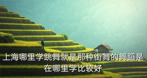 上海哪里学跳舞就是那种街舞的舞蹈是在哪里学比较好