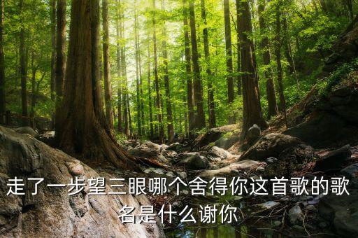 走了一步望三眼哪个舍得你这首歌的歌名是什么谢你