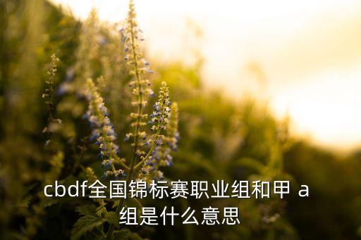 cbdf全国锦标赛职业组和甲 a 组是什么意思