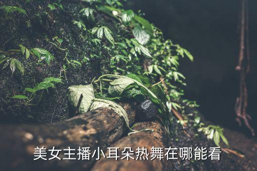白鹿跳舞小视频，有一个小视频两个女的跳舞一个黄色头发一个黑头发穿紧身牛仔