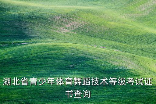 湖北省青少年体育舞蹈技术等级考试证书查询