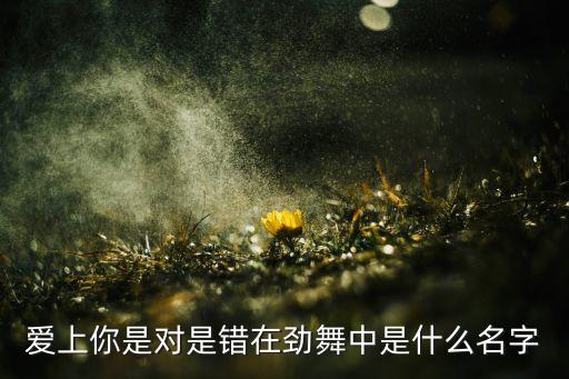 爱上你是对是错在劲舞中是什么名字