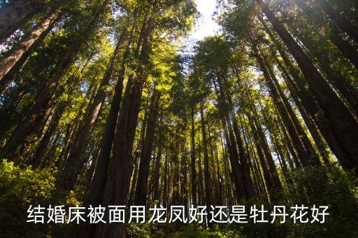 结婚床被面用龙凤好还是牡丹花好