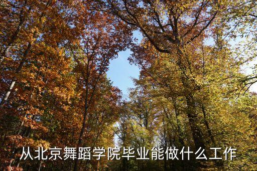 从北京舞蹈学院毕业能做什么工作