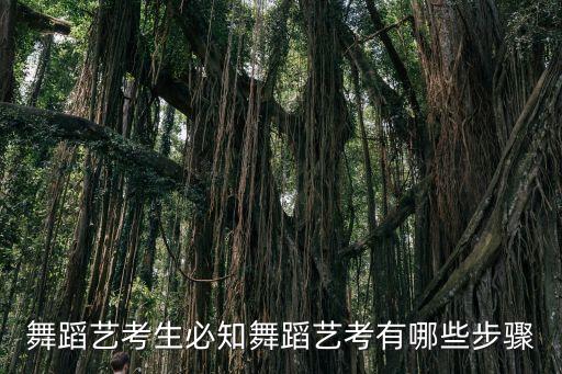 舞蹈艺考怎么考 去哪考，社会考生参加舞蹈联考在哪儿报名