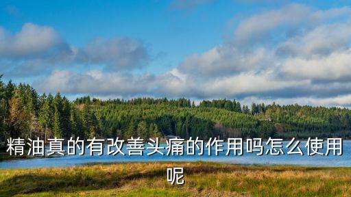 melimoli是什么，有人听说过MeliMoli这个品牌吗怎么样呢