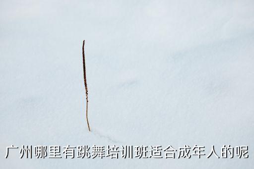 广州哪里有跳舞培训班适合成年人的呢